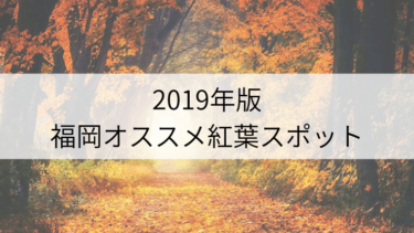 福岡で一度は行きたいオススメ紅葉スポット【2019年版】